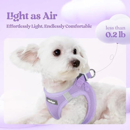 rabbitgoo Dog Harness Small Sized and Leash Set, Step-in Puppy Pet Vest