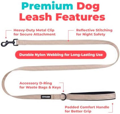 Best Pet Supplies Voyager Nylon Dog Leash - Khaki, Medium