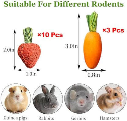 Hamiledyi Hamster Chew Toys Rabbit Chew Toys for Teeth Guinea Pig Treats Enrichment Habitat Decor for Bunny Chinchilla Gerbil Rat (13 Pcs)
