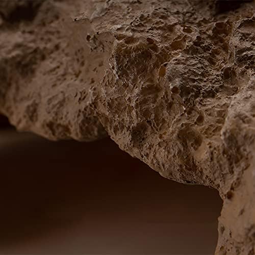 Reptile Hide Bearded Dragon Cave Hideouts Habitat Décor for Snake (Medium)