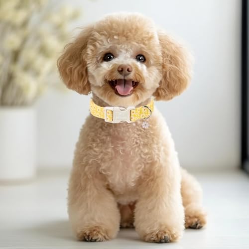 Yellow Daisy Dog Collar Cute Summer Dog Collars for Medium Dogs - Lightweight Adjustable Girly Floral Female Dogs Everyday Collar with Safety Buckle M