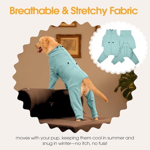 Adjustable Recovery Suit for Small Dogs, Dog Pajamas, Green, S