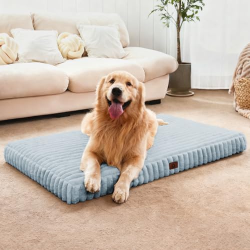 Extra Large Dog Bed Orthopedic Foam with Waterproof Lining