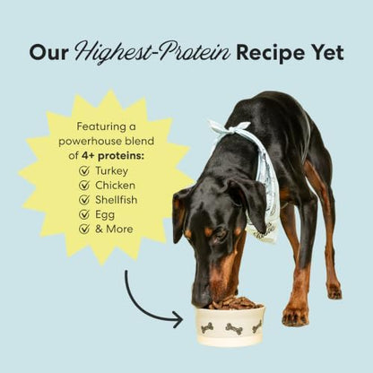 The Pets Table Turkey & Spinach Air-Dried Dog Food, 72-Ounce Bag