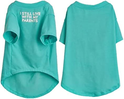 Cute Dog Clothes, T Shirt for Medium and Small Dogs Girl Boy,Puppy.Breathable Soft Dog Costume for Pet Dogs Cats, Pet Pullover Jumper, Cat Clothes (L-(10~17lb), Chest~18", Aqua)
