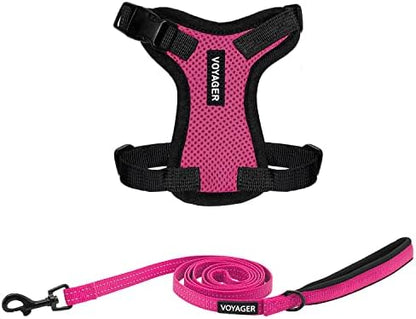 Best Pet Supplies Voyager Step-in Lock Pet Harness w Reflective Pet Leash Combo Set with Neoprene Handle 5ft - Supports Small, Medium and Large Breed Puppies/Cats - Fuchsia/Black Trim, XXXS