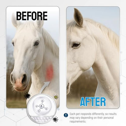 Horse Wound Care Spray with Silver – for Insect & Fly Bites, Hot Spots, Scratches & Itchy Skin – Supports Quick Healing of Cuts, Abrasions & Rain Rot Treatment for Horses – Equine Healing Aid – 4 Oz
