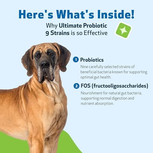 Pet Wellbeing Ultimate Probiotic 9 Strains for Dogs - Gut Health, 320 g