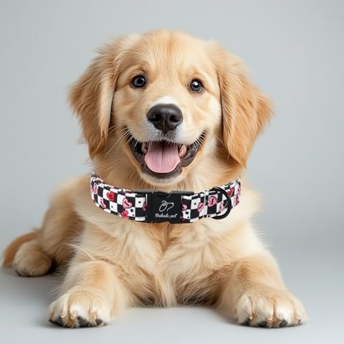 Valentines Dog Collar for Puppy Small Dogs - Unique Black White Plaid Girl Boy Valentine Heart Dog Collars, Adjustable Heavy Duty Pet Collar with Metal Buckle XS
