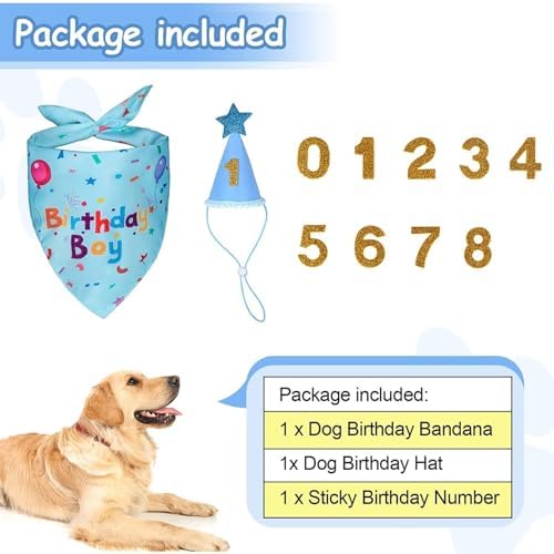Dog Boy Birthday Party Hat,Dog Birthday Party Supplies,Dog Bandana