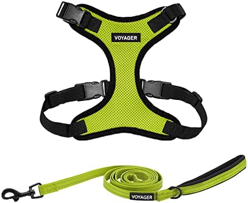 Best Pet Supplies Voyager Step-in Lock Pet Harness w Reflective Pet Leash Combo Set with Neoprene Handle 5ft - Supports Small, Medium and Large Breed Puppies/Cats - Lime Green/Black Trim Set, XS