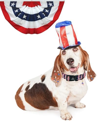 Lionheart glory American Flag Dog Collar, 4 of July Patriotic Independence Day Dog Collar Heavy Duty Adjustable Dog Collars for Small Dogs Pet Gift Summer Collars