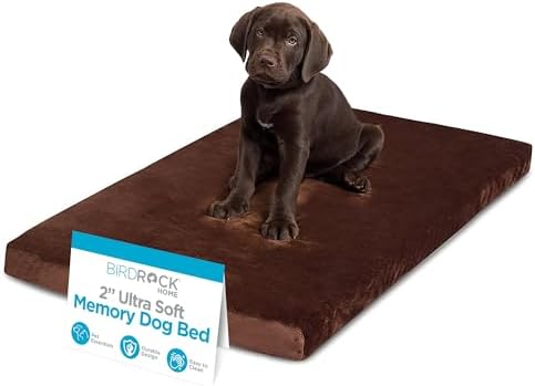 BIRDROCK HOME 2" Memory Foam Dog Bed | Ultra Soft Plush Pet Bed | Removable Cover | Pet | Crate Bed (34 x 22, Brown)