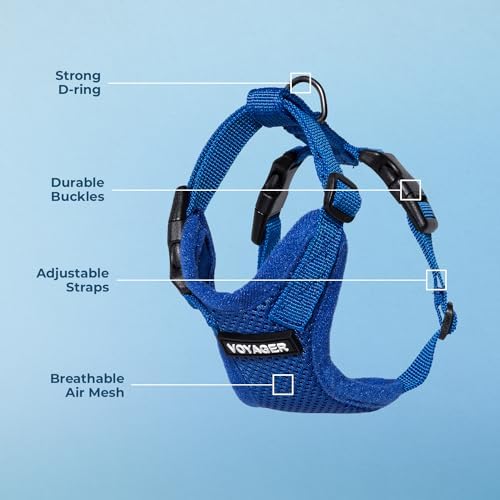 Voyager Step-in Lock Dog Harness - Royal Blue, Small