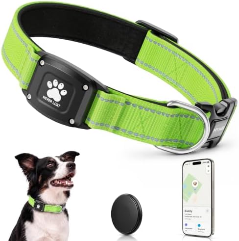 GPS Dog Collar with Tracker, Waterproof, No Monthly Fee, Green, L