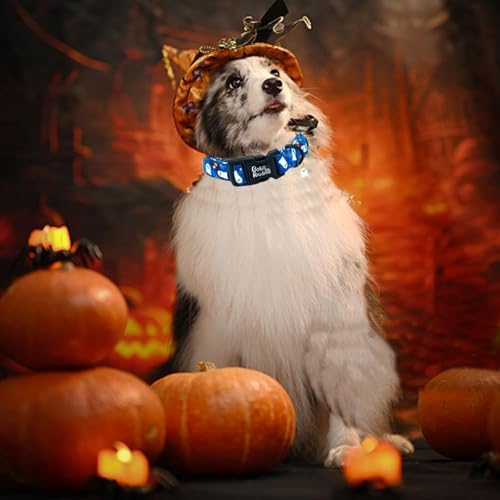 Halloween Blue Star Ghost Print Dog Collar for Small Dogs