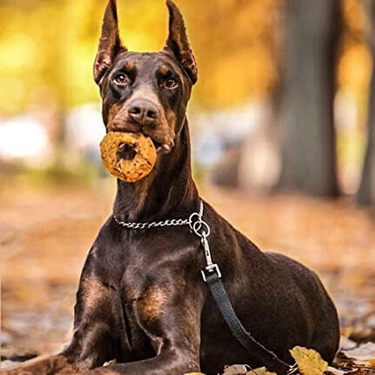 Fieldcrest Farms Nothin to Hide Flip Chips Dog Chews - Natural Rawhide Alternative Treats for Dogs, Collagen Based Snack for Moderate Chewers Up to 35lbs, Beef Flavor (Pack of 2)