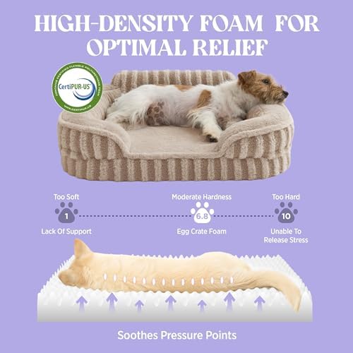 LE SURE Cute Cozy High Back Orthopedic Small Dog Bed with Sides, 24" Hazel