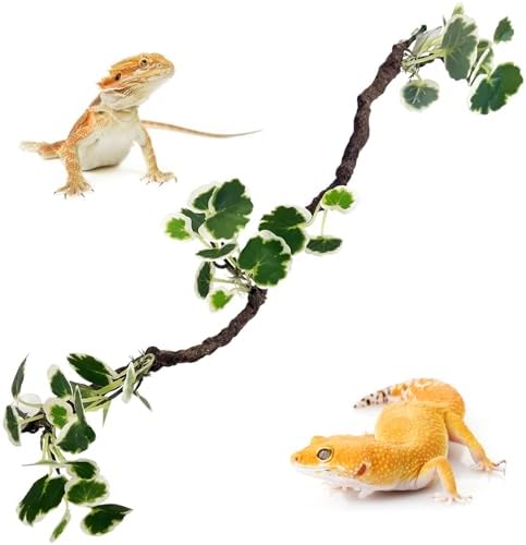 PINVNBY Flexible Bend-A-Branch Jungle Climbing Vines Suction Branch Reptile Tank Accessories Pet Habitat Decor Reptile Plants Terrarium for Leopard Gecko, Lizard, Snake, Chameleon, Frog (Green)