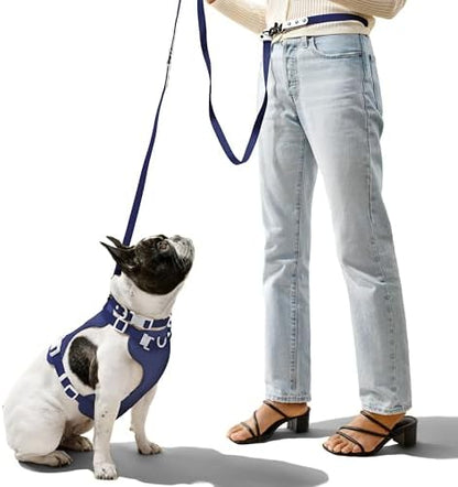 Medium Luna 8FT Adjustable 6-in-1 Waterproof Hands-Free Leash and Collar Set with LED Flashlight, Waste Bag Dispenser, and Poop Bag Holder, Navy White, Highball WLK1005J-5SET