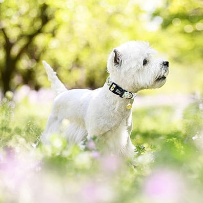 Dog Collar, Cute Bee Adjustable Pet Collars Spring Soft Comfortable Cotton Puppy Collar Pink Flower Necklace Gift Collars for Medium Dogs