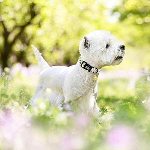 Dog Collar, Cute Bee Adjustable Pet Collars Spring Soft Comfortable Cotton Puppy Collar Pink Flower Necklace Gift Collars for Large Dogs