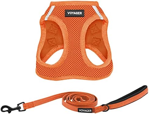 Best Pet Supplies Voyager Step-in Air All Weather Mesh Harness and Reflective Dog 5ft Leash Combo with Neoprene Handle, for Small, Medium and Large Breed Puppies - Orange, XXX-Small