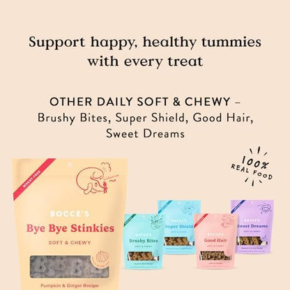 Bocce's Bakery Digestive Support Soft Chewy Dog Treats, Pumpkin Ginger, 6oz