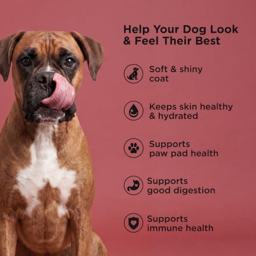 Go! Solutions Skin + Coat Care Beef Dry Dog Food, 22 lb