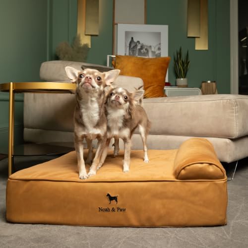 NOAH & PAW Dog Bed, 28x23x7.5 Inch, Orthopedic Dog Beds for Medium Size Pets, Eggshell Memory Foam Infused with Cooling Gel, Water Resistant, Machine Washable, Includes Inner Cover (Faux Leather)