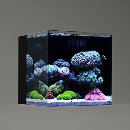 LANDEN EzFlux 35 Rimless 10 Gallon Rear Filtration Tank, Pump Included
