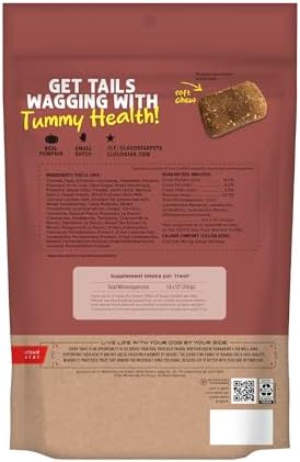 Cloud Star Dynamo Dog Tummy Soft Chews Grain Free Dog Treats, Pumpkin & Ginger, 14 oz. Pouch