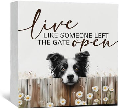 Border Collie Signs - Farm Cottagecore Animal Office Kitchen Bedroom Decor,Rustic Farmhouse Live like Someone Left the Gate Open Home Decor Wooden Signs,Border Collie Gifts for Women,6x6