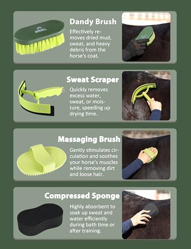 Shinewell Horse Grooming Kit, Complete Horse Brush Set, Equine Grooming Tools for Shedding & Daily Care Green