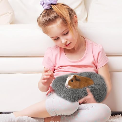 PETKNOWS 2-Pack Winter Guinea Pig Beds Hamster Bed Small Animal Hideout