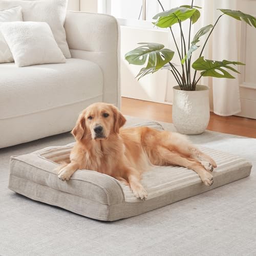 WINDRACING Orthopedic Dog Beds for Medium Dogs, Waterproof Egg Foam Dog Sofa Bed with L Bolster Sides, Washable Medium Pet Bed with Removable Cover & Non-Slip Bottom, 36 x 23 inch, Beige