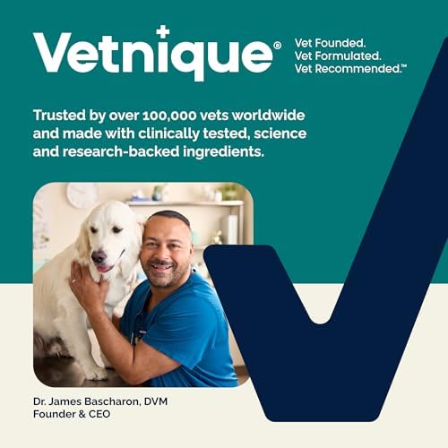 Vetnique Dermabliss Oatmeal Dog Shampoo for Itchy Skin & Allergy Relief