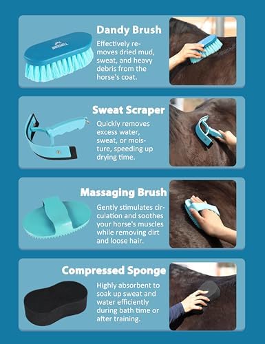 Shinewell Horse Grooming Kit, Complete Horse Brush Set, Equine Grooming Tools for Shedding & Daily Care Blue