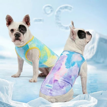 KYEESE 2Pack Dog Shirt for Small Dogs Soft Breathable T-Shirts, Purple+Blue