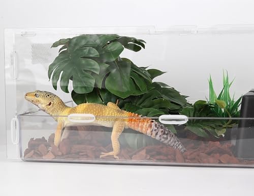 Fake Monstera Reptile Terrarium Plants for Ball Python Snake Gecko