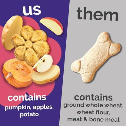Fruitables Baked Dog Treats, Low Calorie Treats, Pumpkin & Apple, 20oz