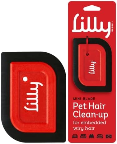 Lilly Brush Mini Pet Hair Detailer | Reusable Fur Remover for Car Interior, Carpet, Couch & Furniture