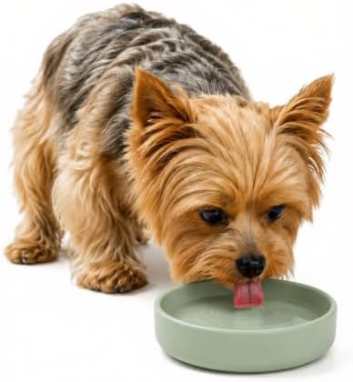 The Perfect Dish - Silicone Dog Bowl for Food & Water, 6" x 1.25"-Sage