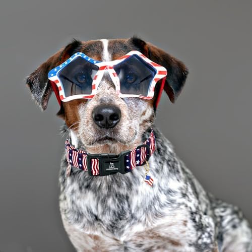 Lionheart glory American Flag Dog Collar, 4 of July Patriotic Independence Day Dog Collar Heavy Duty Adjustable Dog Collars for Medium Dogs Pet Gift Summer Collars