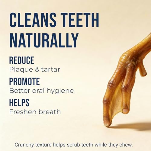 K9warehouse Duck Feet for Dogs – High Protein Dehydrated Dog Treats, Natural Crunchy Chews with Collagen, Glucosamine & Chondroitin for Joint & Hip Health, Dental Care, Small to Large Breeds (10 pcs)