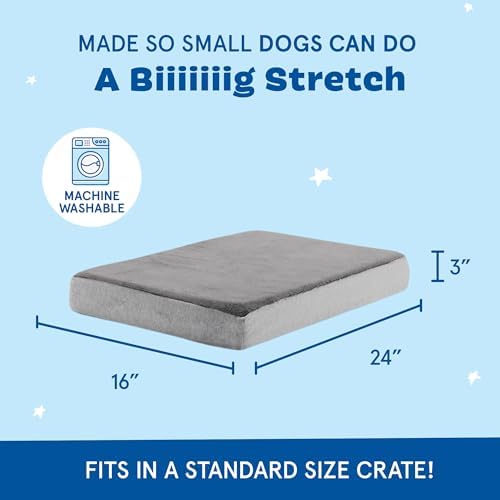 BarkBox Orthopedic Dog Bed - Small