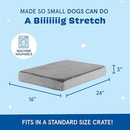 BarkBox Orthopedic Dog Bed - Small
