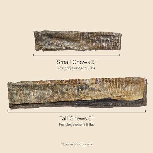 The Honest Kitchen Ocean Chews™ Crispy Cod Fish Skins Dog Treats, 2.75 oz (Beams™)