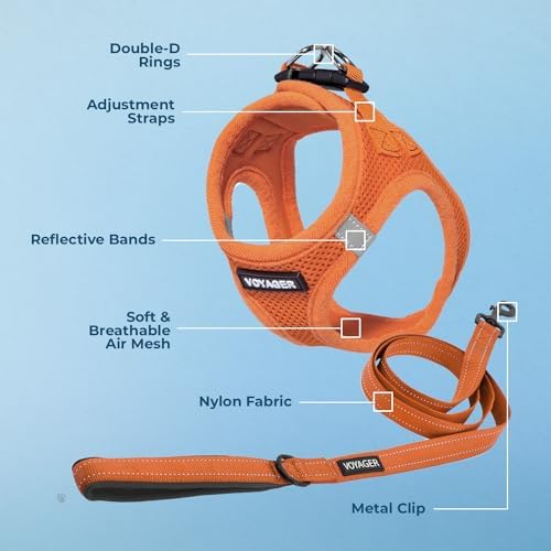 Best Pet Supplies Voyager Step-in Air All Weather Mesh Harness and Reflective Dog 5ft Leash Combo with Neoprene Handle, for Small, Medium and Large Breed Puppies - Orange, XXX-Small