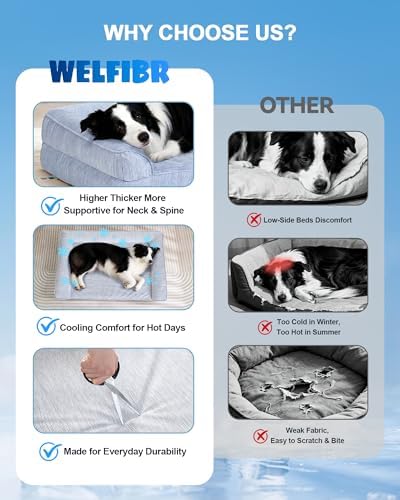 Cooling Dog Bed Orthopedic for Large Dogs ＆ Instant Chill ＆Egg Crate Foam